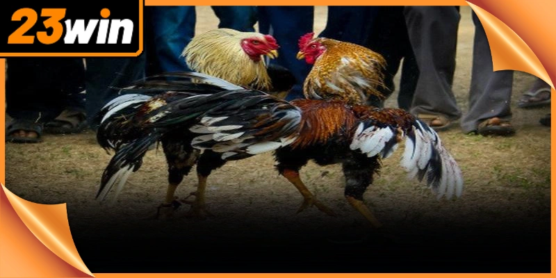 Anh em nên áp dụng quy tắc quản lý ngân sách khắt khe để bảo đảm an toàn